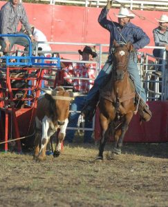 Great day out – no bull
