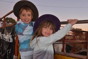 Night of bulls and dust