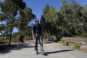 Home among the gumtrees