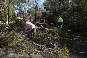 Gusty winds wreak havoc