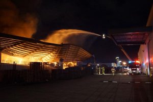 Rising from the ashes