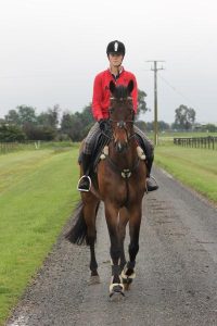 Horse interests at core