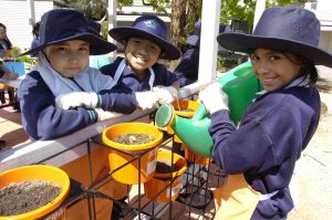 School garden stands tall