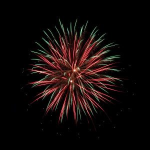 Ease your pet’s fireworks fears