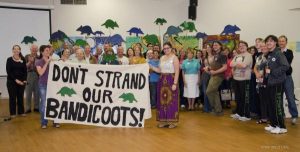Caring two hoots for bandicoots