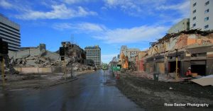 Kiwis call for rebuild help