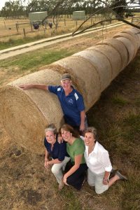 Hay goes their way