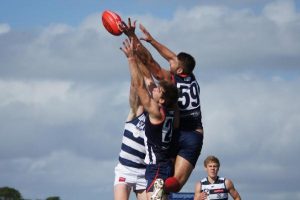 Scorpions struggle against Cats