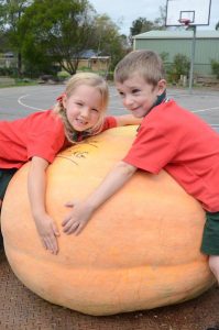 Pumpkin pump-up