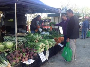 Fresh produce, autumn glory