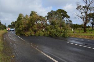 SES cleans up the mess