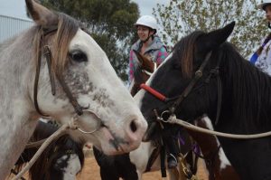 Riders bound to follow tradition