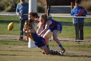 Casey and Cardinia clash
