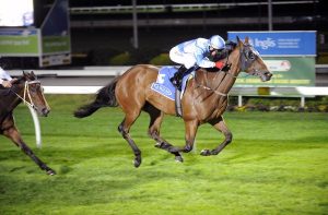 Prize boost makes nights to remember