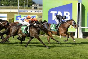 ‘Flying’ horse eyes Stakes