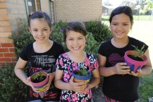 Growing green thumbs