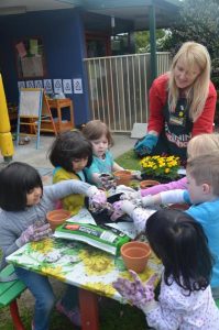 It’s all go in the gardens