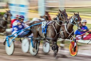 All set for Pacing Cup