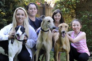 Race dog rescue