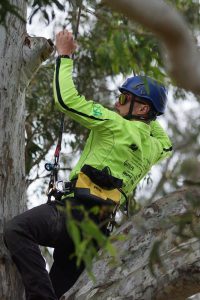 Risking life and… limb?
