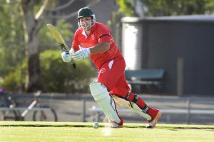 Cobras kings of day-night clash
