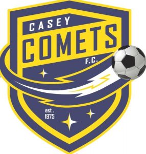 Comets rise to occasion