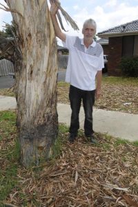 Mad over tree bark