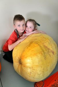 Pumpkin king and queen