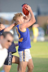 Gulls’ ready to muscle in