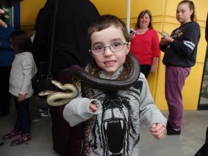 Up close with reptiles