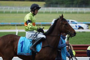Eighth gong for Pateman