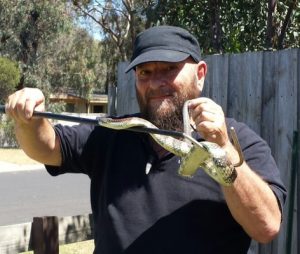 Dogs killed in snake strikes