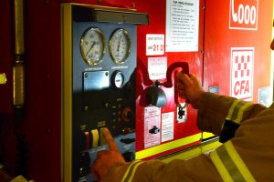 Tree fires ‘deliberate’