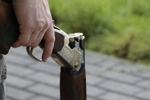 Shots fired in Blind Bight