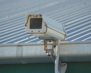 Thieves target display homes