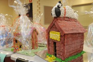 Student showcase