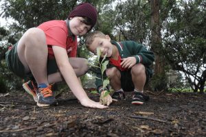 Partners in tree planting