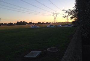 Lives ‘at risk’ as hoons rip through park