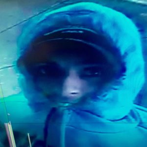 Cash-hungry burglars on the go