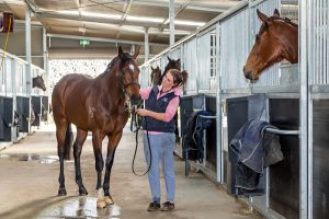 Hot horsey homes