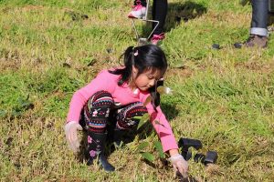 Getting dirty for the trees