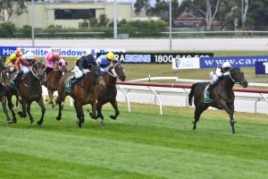 Vet centre to complement training