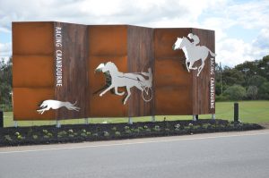 Turf club’s $1m offer