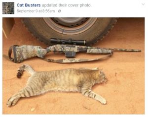 Cat rescue, not cruelty