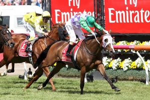 Outstanding Cup field set for Cranbourne