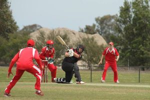 Mixed bag for Swans