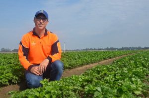 Top awards for local exporters
