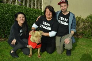 Team Tigger to the rescue