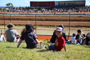 Vintage tractors bring the bling