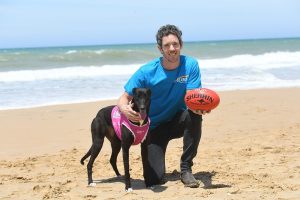 Big names set for stage